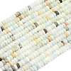 Natural Flower Amazonite Beads Strands G-P575-A10-4x2mm-01-2