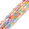 Natural Freshwater Shell Dyed Beads Strands SHEL-M018-13-12-1