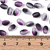 Frosted Glass Seed Beads SEED-N008-05K-4