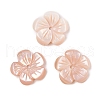 Natural Pink Shell Carved Beads SSHEL-I026-12B-02-1