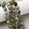 Natural Green Opal Beads Strands G-U023-A14-01-1