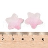Imitation Candy Food Style Resin Cabochons RESI-R461-02K-3