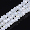 Electroplate Glass Bead Strands GLAA-F001-3x2mm-30L-3