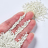 Glass Seed Beads SEED-S060-A-F207-4