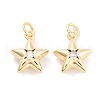 Brass with Cubic Zirconia Pendant KK-P271-38B-01G-1