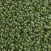 MIYUKI Round Rocailles Beads X-SEED-G007-RR1926-3
