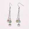 Natural Gemstone Dangle Earrings EJEW-JE02242-2