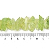 Natural Crackle Quartz Beads Strands G-R012-B06-08-2