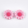 Resin Cabochons CRES-T010-60G-1