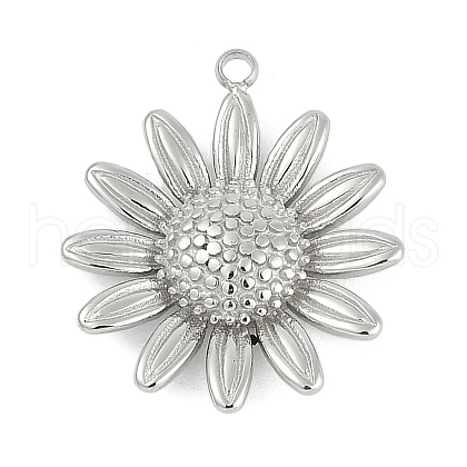 304 Stainless Steel Pendants STAS-I325-019P-01-1