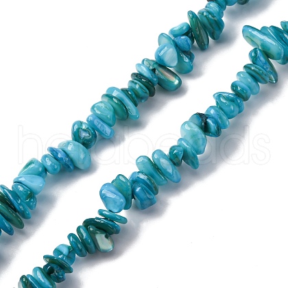 Natural Freshwater Shell Beads Strands BSHE-I016-01A-1