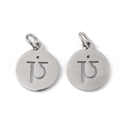 Non-Tarnish 304 Stainless Steel Charms STAS-Q201-T452P-1