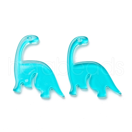Transparent Acrylic Pendants TACR-M002-01C-1
