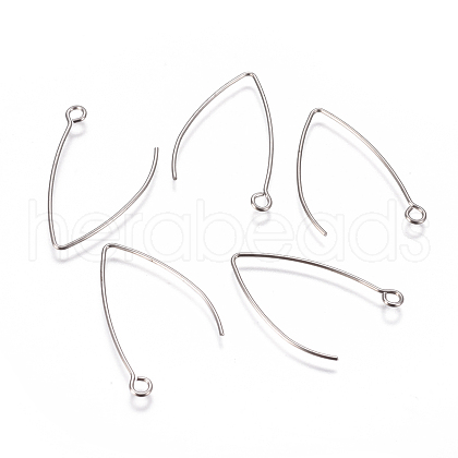 304 Stainless Steel Earring Hooks STAS-F227-26A-P-1