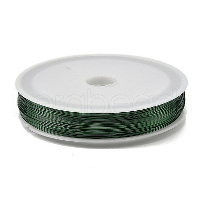 Baking Painted Iron Wire MW-NH0001-01E-1