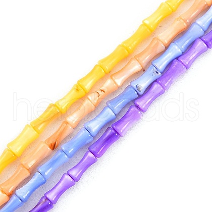 Natural Freshwater Shell Beads Strands SHEL-G013-01-1
