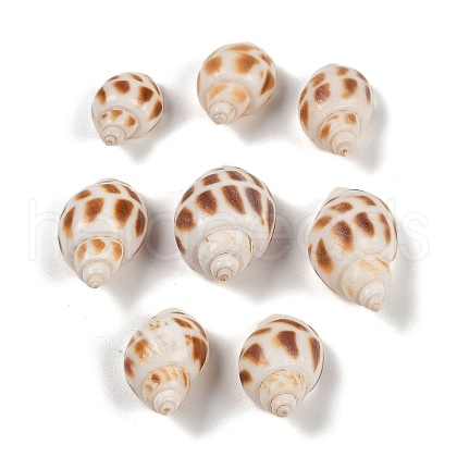 Natural Spiral Shell Pendants SHEL-K009-17D-1