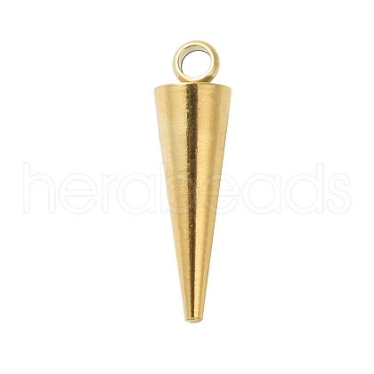 304 Stainless Steel Pendants STAS-K303-05G-1