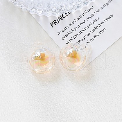 Glass Pendant INS-PW0001-13G-1
