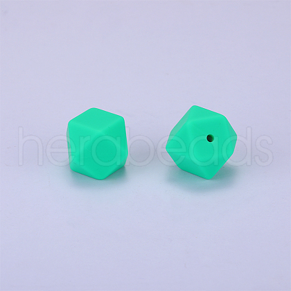Hexagonal Silicone Focal Beads SI-JX0020A-30-1