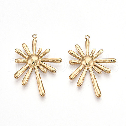 304 Stainless Steel Pendants STAS-T064-62G-1