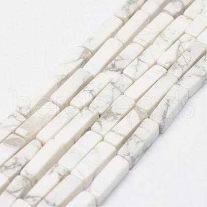 Natural Howlite Beads Strands G-E342-15-1