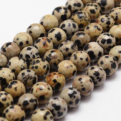 Natural Dalmatian Jasper Beads Strands G-D840-49-10mm-1