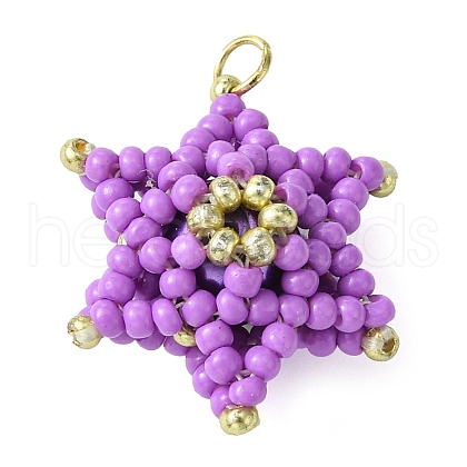 Seed Beads Beaded Charms PALLOY-MZ00286-02-1