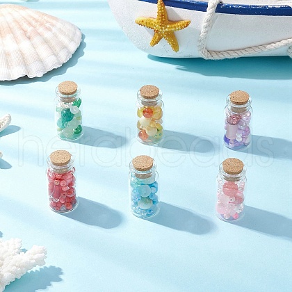 6Pcs Lampwork Beads & Glass Seed Beds Wishing Bottles AJEW-JD00017-1