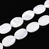 Natural Trochid Shell/Trochus Shell Beads SSHEL-N036-051-1