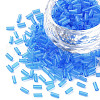 Transparent Glass Bugle Beads SEED-N005-001-C10-1