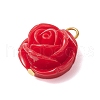 Opaque Resin Pendants PALLOY-JF02752-02-3