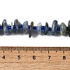 Natural Kyanite Beads Strands G-J403-01-4