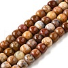 Natural Red Rainbow Jasper Beads Strands G-U023-B02-03-2