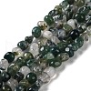 Natural Moss Agate Beads Strands G-D081-A02-1