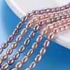 Natural Cultured Freshwater Pearl Beads Strands PEAR-N012-02D-1