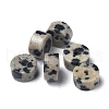 Natural Dalmatian Jasper Beads Strands G-Z006-C17-3