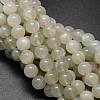Round Natural White Moonstone Bead Strands G-L425-22-10mm-1