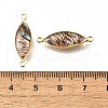Brass Pave Natural Paua Shell Connector Charms KK-E794-01G-06-3
