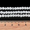 Cat Eye Beads Strands X-CE-F022-4mm-15-5