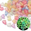 Luminous Transparent Acrylic Beads OACR-B031-15-1