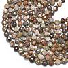 Natural Bloodstone Beads Strands G-K389-B59-01-3