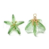 Glass Pendants PALLOY-MZ00741-02-1
