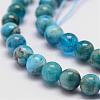 Natural Apatite Beads Strands G-D856-01-6.5mm-3