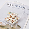 Craftdady 50Pcs 5 Styles Resin Imitation Pearl Pendants FIND-CD0001-32-17