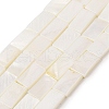 Natural Freshwater Shell Beads Strands BSHE-H018-03-1