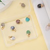 10Pcs 10 Style Natural Gemstone Charms G-LS0002-15-5
