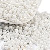 Baking Paint Glass Seed Beads SEED-A032-02D-1