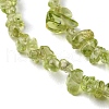 Natural Peridot Beads Strands G-G0003-B27-4