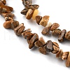 Natural Picture Jasper Beads Strands G-G0003-B16-4